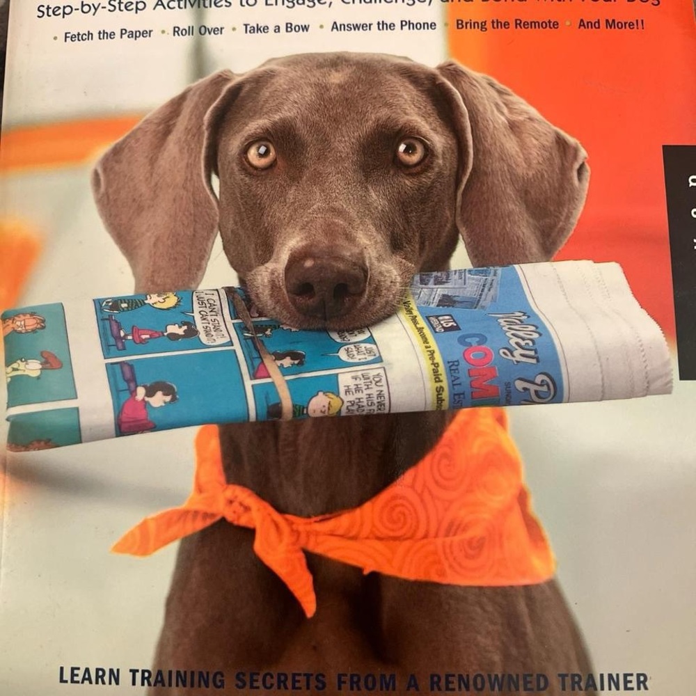 101 dog tricks